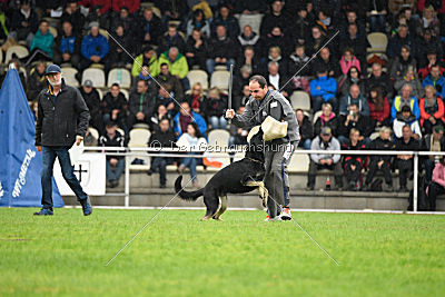 Catara vom Salztalblick