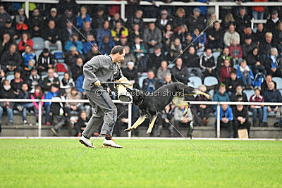 Catara vom Salztalblick