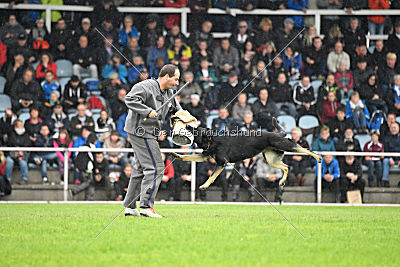 Catara vom Salztalblick