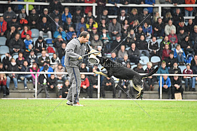 Catara vom Salztalblick