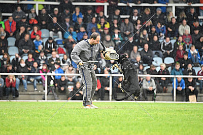 Catara vom Salztalblick