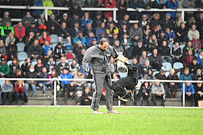 Catara vom Salztalblick