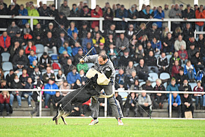 Catara vom Salztalblick