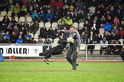 Catara vom Salztalblick