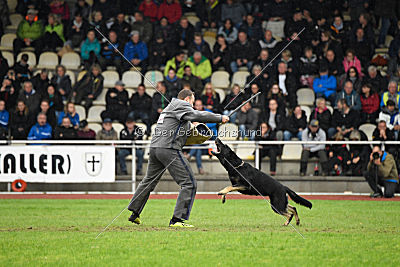 Catara vom Salztalblick