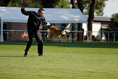 Catlyn vom Clan der Wölfe