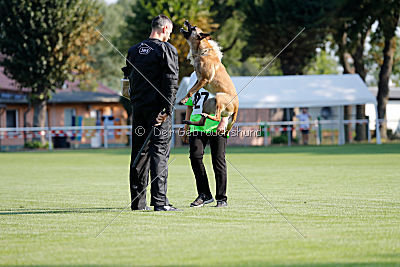 Catlyn vom Clan der Wölfe