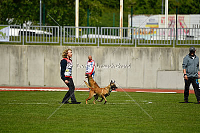 Catlyn vom Clan der Wolfe