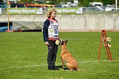 Catlyn vom Clan der Wolfe