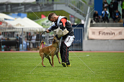 Catlyn vom Clan der Wolfe