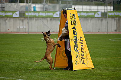 Catlyn vom Clan der Wolfe