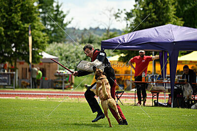 Cave Canem Odin vom Mittelpunkt