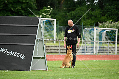Cave Canem Odin vom Mittelpunkt