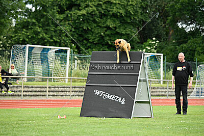 Cave Canem Odin vom Mittelpunkt