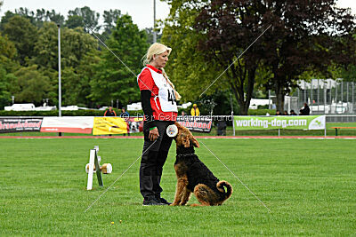Cedrik vom Roten Milan