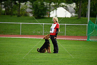 Cedrik vom Roten Milan