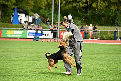 Cedrik vom Roten Milan