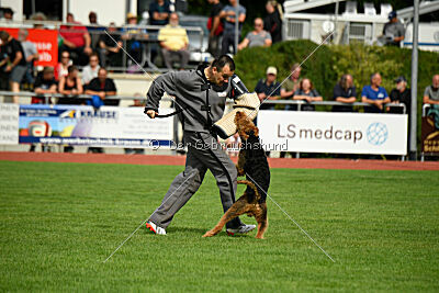 Cedrik vom Roten Milan