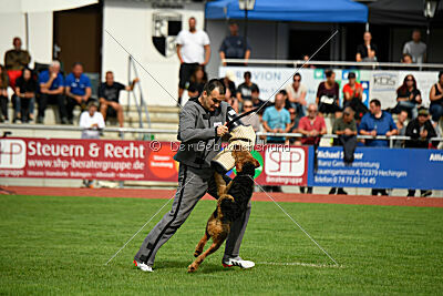 Cedrik vom Roten Milan