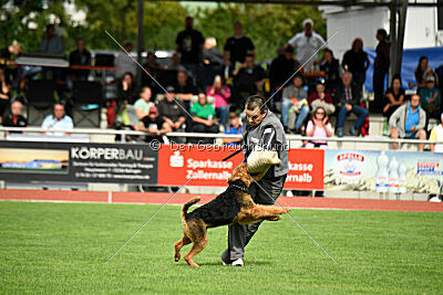 Cedrik vom Roten Milan