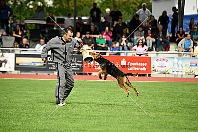 Cedrik vom Roten Milan