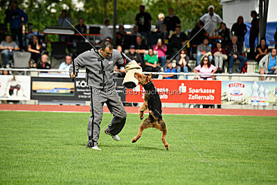 Cedrik vom Roten Milan
