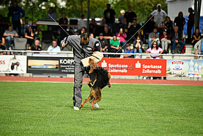 Cedrik vom Roten Milan