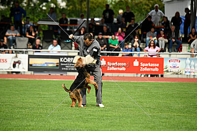 Cedrik vom Roten Milan