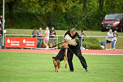 Cedrik vom Roten Milan