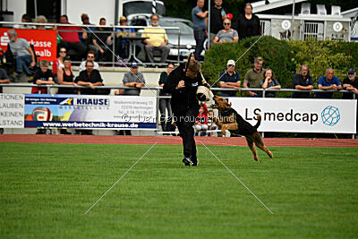 Cedrik vom Roten Milan