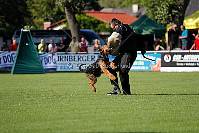 Cerberus von Erikson