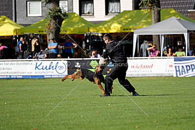 Cerberus von Erikson