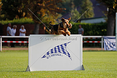 Cerberus von Erikson