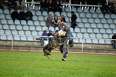 Cerina vom Herzogtum Braunschweig