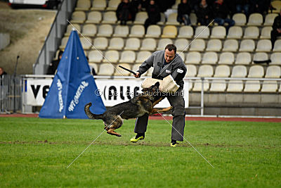 Cerina vom Herzogtum Braunschweig