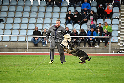 Cerina vom Herzogtum Braunschweig