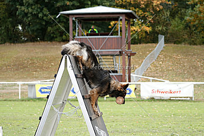 Cetan vom Bachsteinhaus