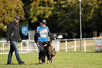 Cetan vom Bachsteinhaus