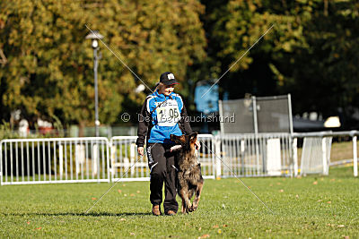 Cetan vom Bachsteinhaus