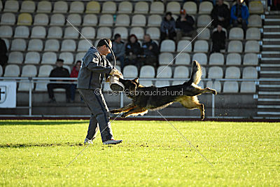 Cetan vom Bachsteinhaus