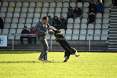 Cetan vom Bachsteinhaus