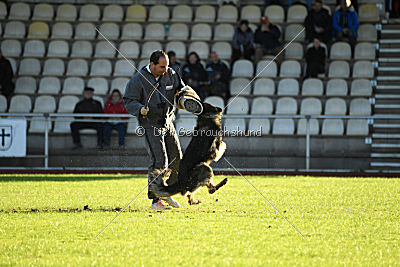 Cetan vom Bachsteinhaus