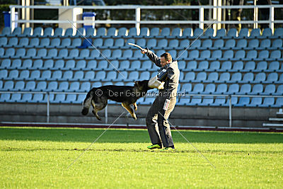 Cetan vom Bachsteinhaus