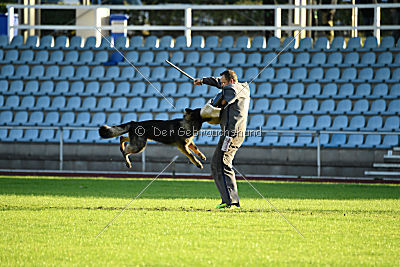 Cetan vom Bachsteinhaus