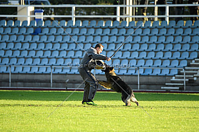 Cetan vom Bachsteinhaus