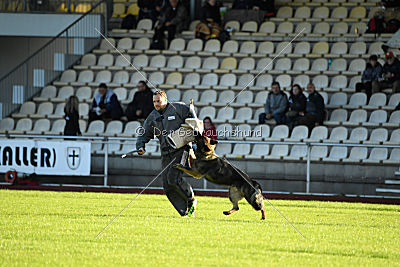 Cetan vom Bachsteinhaus