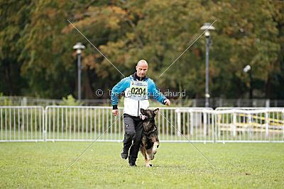 Champ vom Lupus Alpha