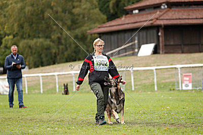 Champ vom Rischebachtal