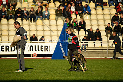 Champ vom Rischebachtal