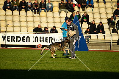 Champ vom Rischebachtal